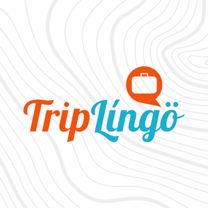 Direct Travel Names Trip Lingo as New Partner