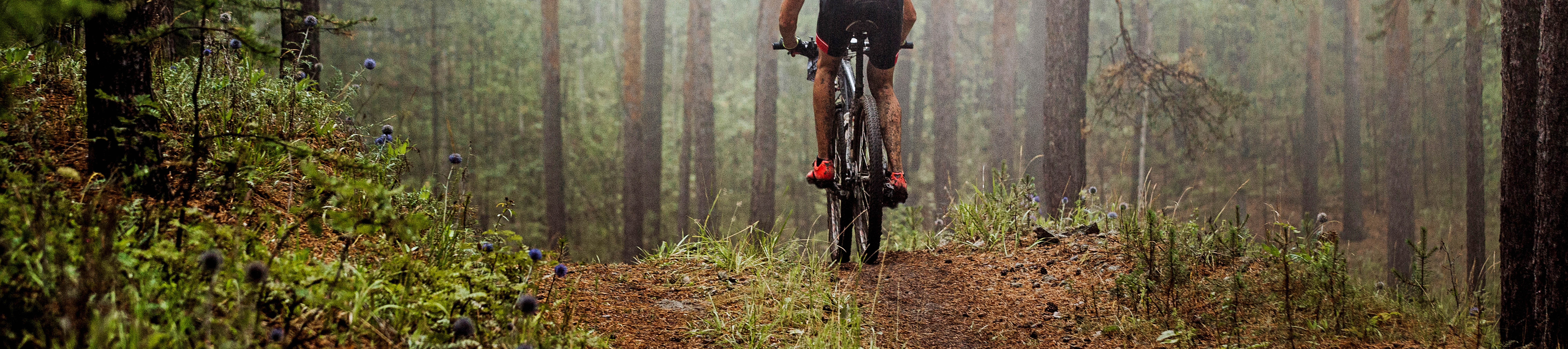 Costa Rica - bike